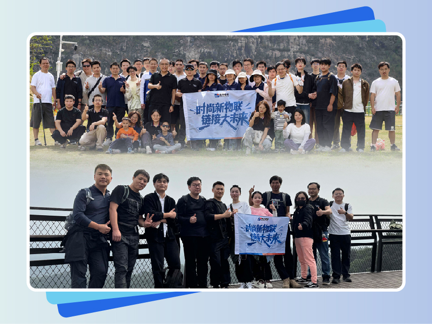 思创理德英文站