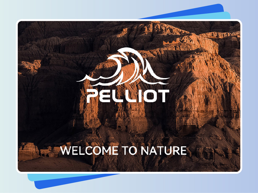 思创理德英文站